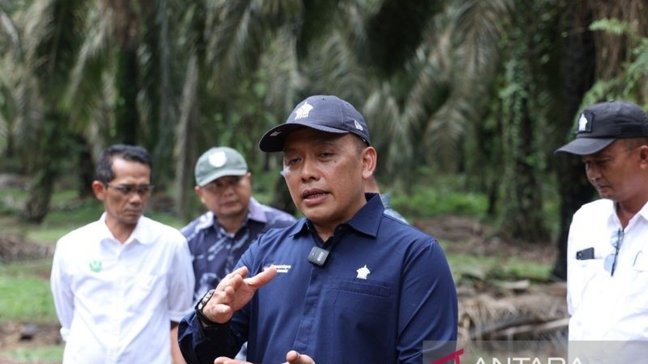 Empat KUD binaan PTPN IV PalmCo berhasil mengantongi Sertifikasi RSPO internasional, membuka peluang ekonomi baru dan memperkuat daya saing sawit berkelanjutan Indonesia di pasar global.