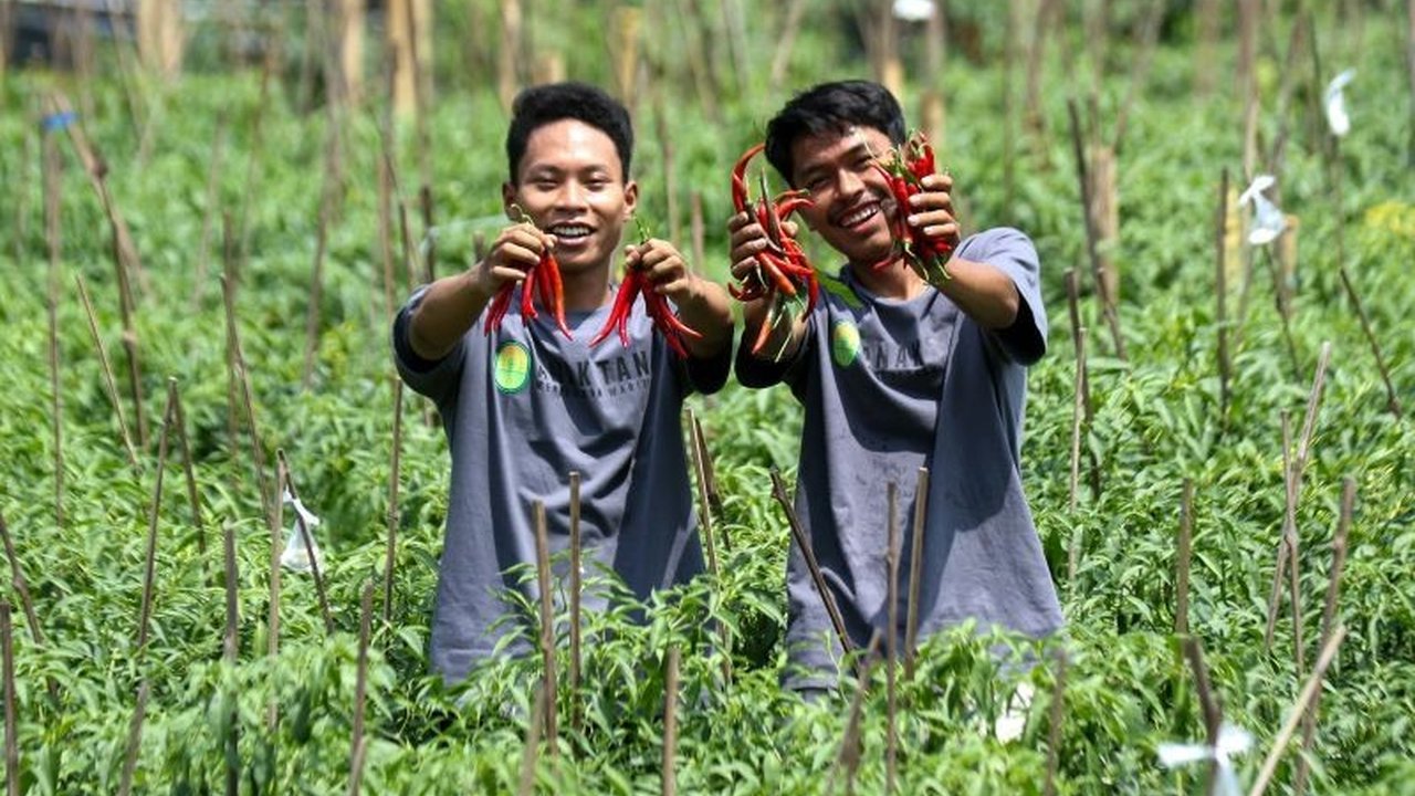 Menjelang 2026, sektor pertanian Indonesia dihadapkan pada harapan besar dan tantangan signifikan. Artikel ini mengulas proyeksi dan strategi pemerintah untuk mencapai swasembada serta membangun sistem pangan berkelanjutan di tengah perubahan iklim dan is