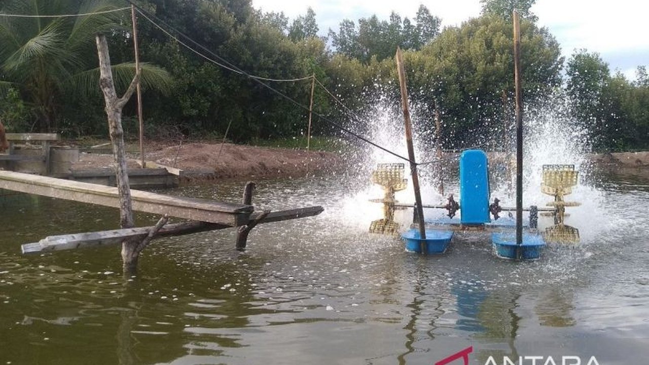 BMKG Stasiun Balikpapan mengeluarkan peringatan dini terkait potensi pasang laut Kaltim setinggi 2,8 meter yang dapat merendam tambak dan memicu banjir rob di pesisir.