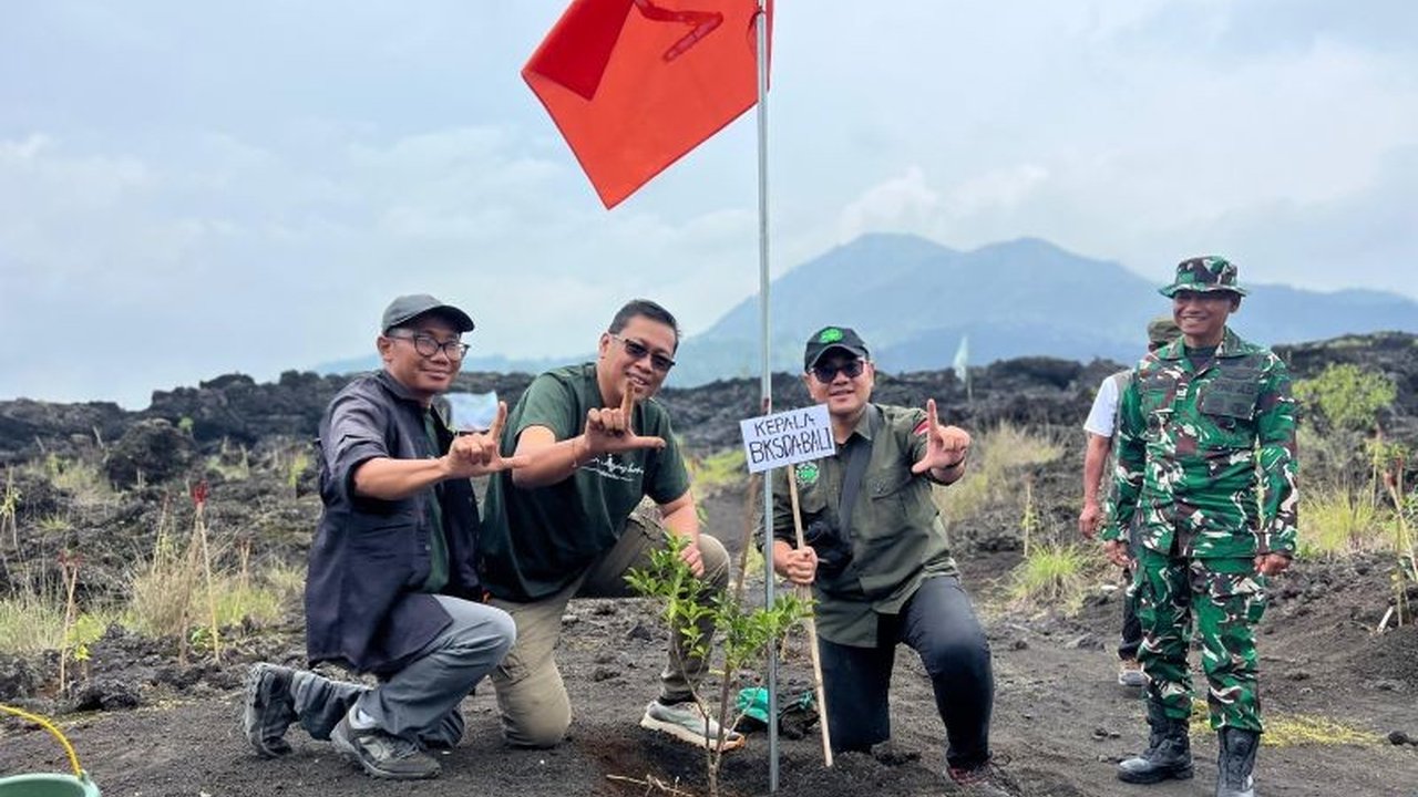 BKSDA Bali bersama LSM sukses gelar Reboisasi Gunung Batur di TWA Bukit Payang dengan menanam 3.000 bibit pohon demi rehabilitasi kawasan hulu dan lingkungan.