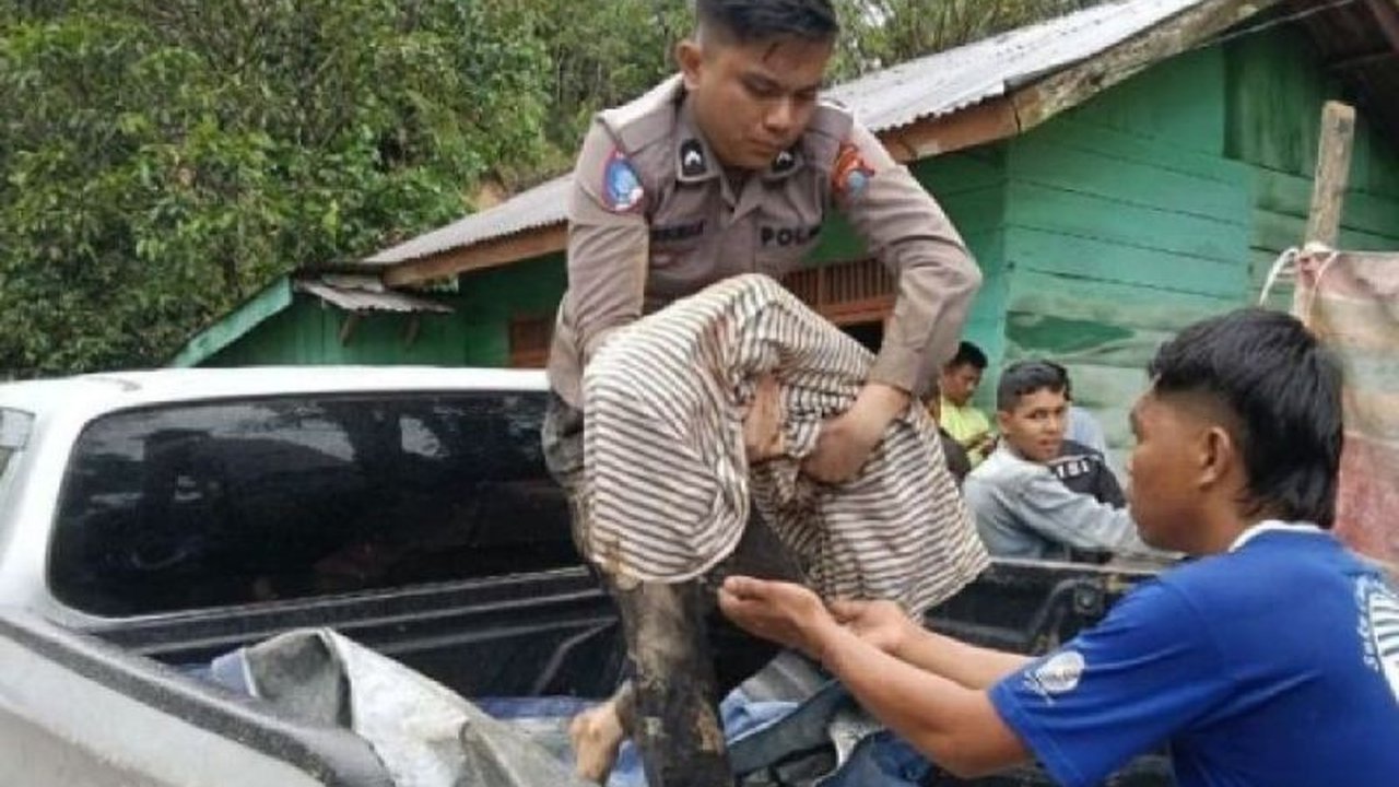 Pusdalops PB Sumut melaporkan jumlah korban meninggal dunia akibat bencana alam di Sumatera Utara bertambah menjadi 355 orang, memicu kekhawatiran mendalam.