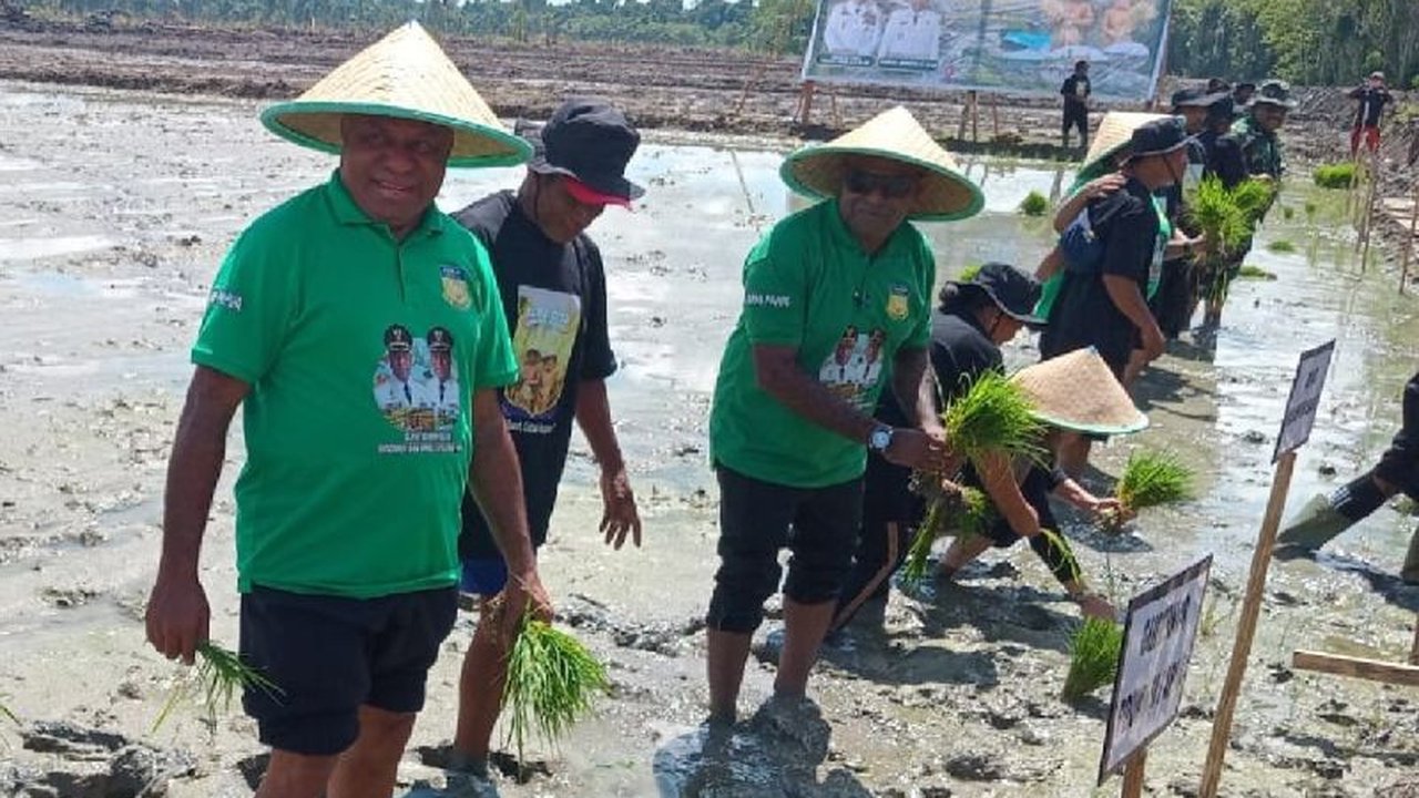 Pemerintah Kabupaten Sarmi berhasil merealisasikan cetak sawah baru seluas 130 hektare, bagian dari upaya mewujudkan kemandirian pangan dan menjadikan Sarmi sebagai lumbung pangan di Papua.