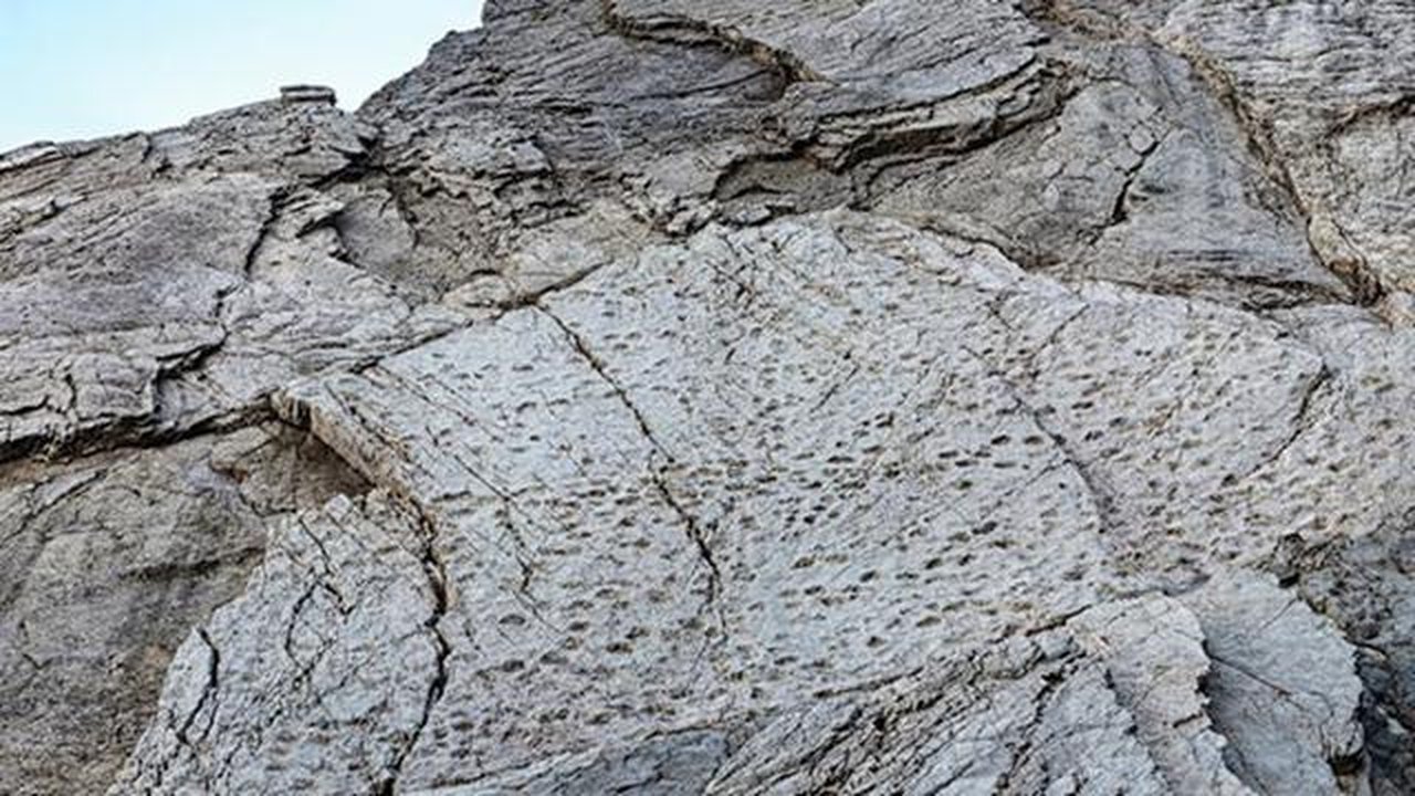 Foto yang diambil pada September 2025 dan dirilis pada Selasa, 16 Desember 2025, oleh Taman Nasional Stelvio ini memperlihatkan jejak kaki dinosaurus Plateosaurus dari periode Trias Akhir di