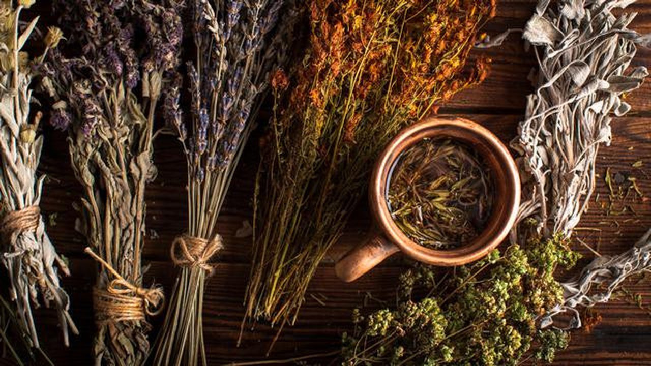 Ilustrasi tanaman herbal. (Image by Freepik)