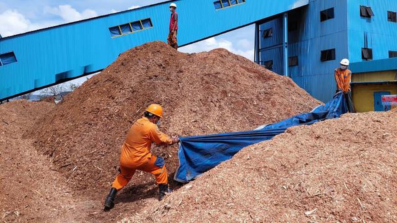 PLN berhasil melakukan uji coba penggunaan 75 persen biomassa Woodchips (kepingan kayu) untuk bahan bakar pengganti batu bara (cofiring) di PLTU Bolok dengan kapasitas 2x16,5 Megawatt (MW)