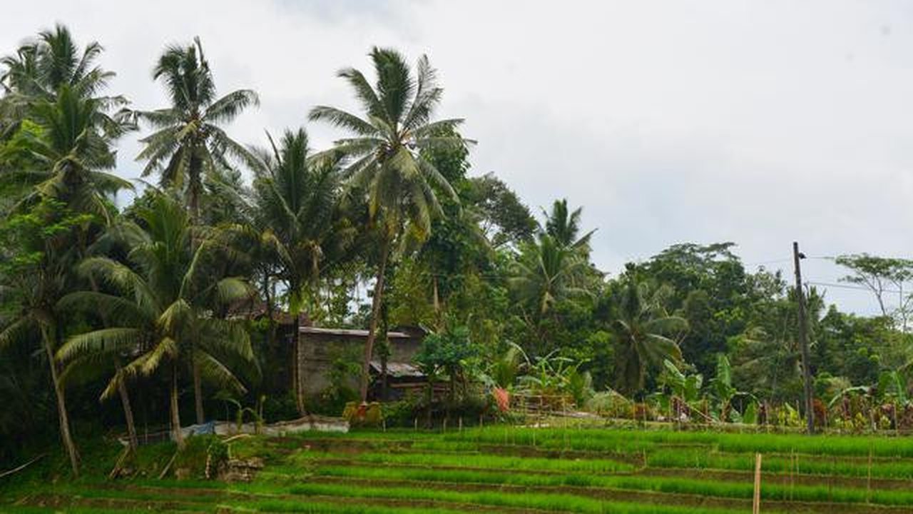 Desa-desa wisata seperti Panglipuran, Pentingsari, Tamansari, dan Wae Rebo adalah bukti nyata bahwa liburan bisa tetap cerdas dan berkelanjutan./copyright depositphotos/ Photo by Ayudiafatma