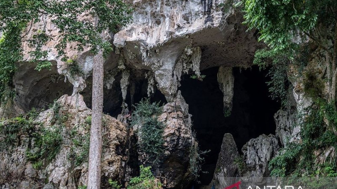 Jelajahi keindahan Gua Batu Hapu, warisan geologi berusia jutaan tahun di Pegunungan Meratus, yang kini menjadi destinasi wisata nasional dan internasional yang memukau.