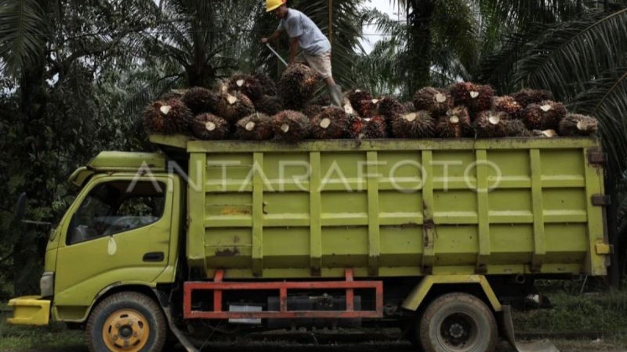 Pemerintah Provinsi Kalimantan Tengah resmi menetapkan UMP Kalteng 2026 naik signifikan, mencapai Rp3.686.138 per bulan, demi kesejahteraan pekerja di wilayah tersebut.