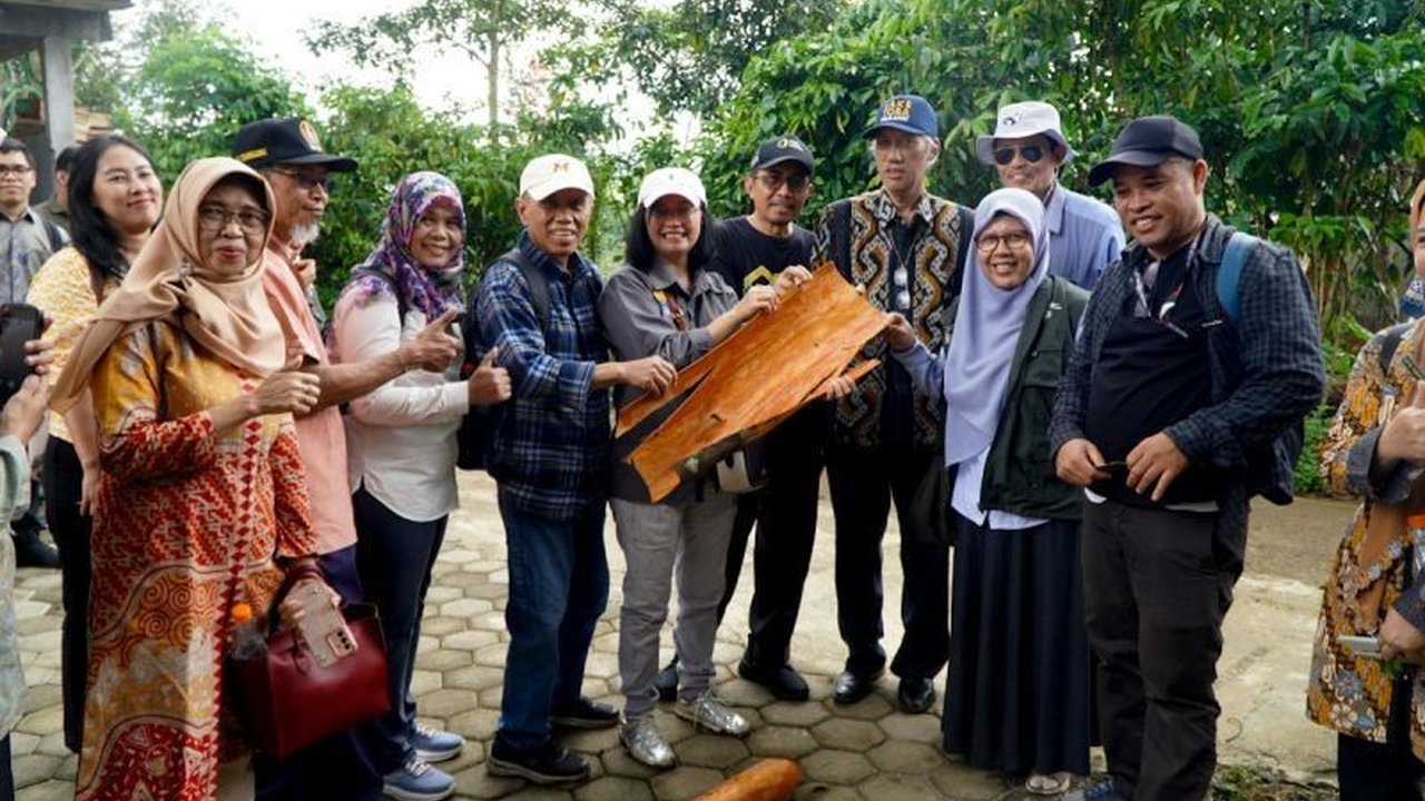 Badan Pangan Nasional (Bapanas) aktif memperkuat keberterimaan kayu manis Indonesia di pasar global dengan mengawal standar internasional di Forum Codex, demi nilai ekonomis petani.