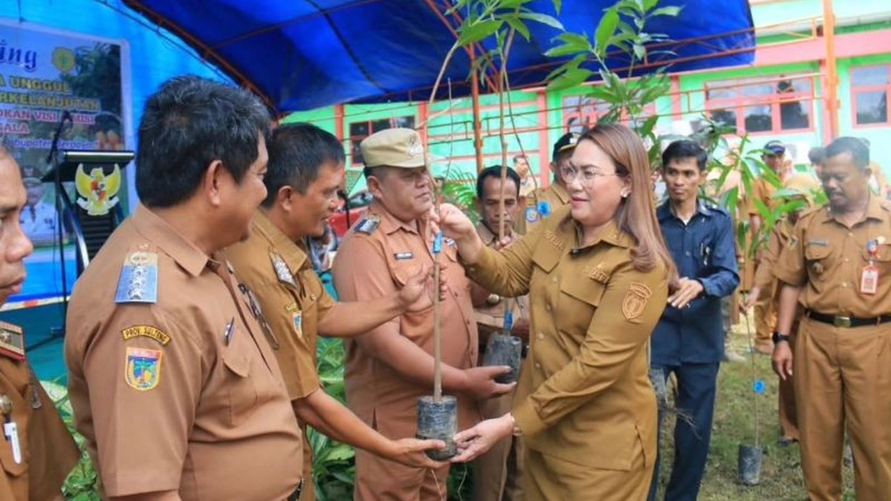 Pemerintah Kabupaten Donggala serius mendorong pengembangan mangga unggulan sebagai langkah strategis memperkuat sektor pertanian dan agribisnis berkelanjutan di daerah.