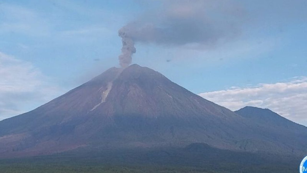 Erupsi Gunung Semeru kembali mengguncang Lumajang dan Malang dengan tinggi letusan 1,2 km. Ketahui detail letusan dan rekomendasi PVMBG untuk keselamatan warga.