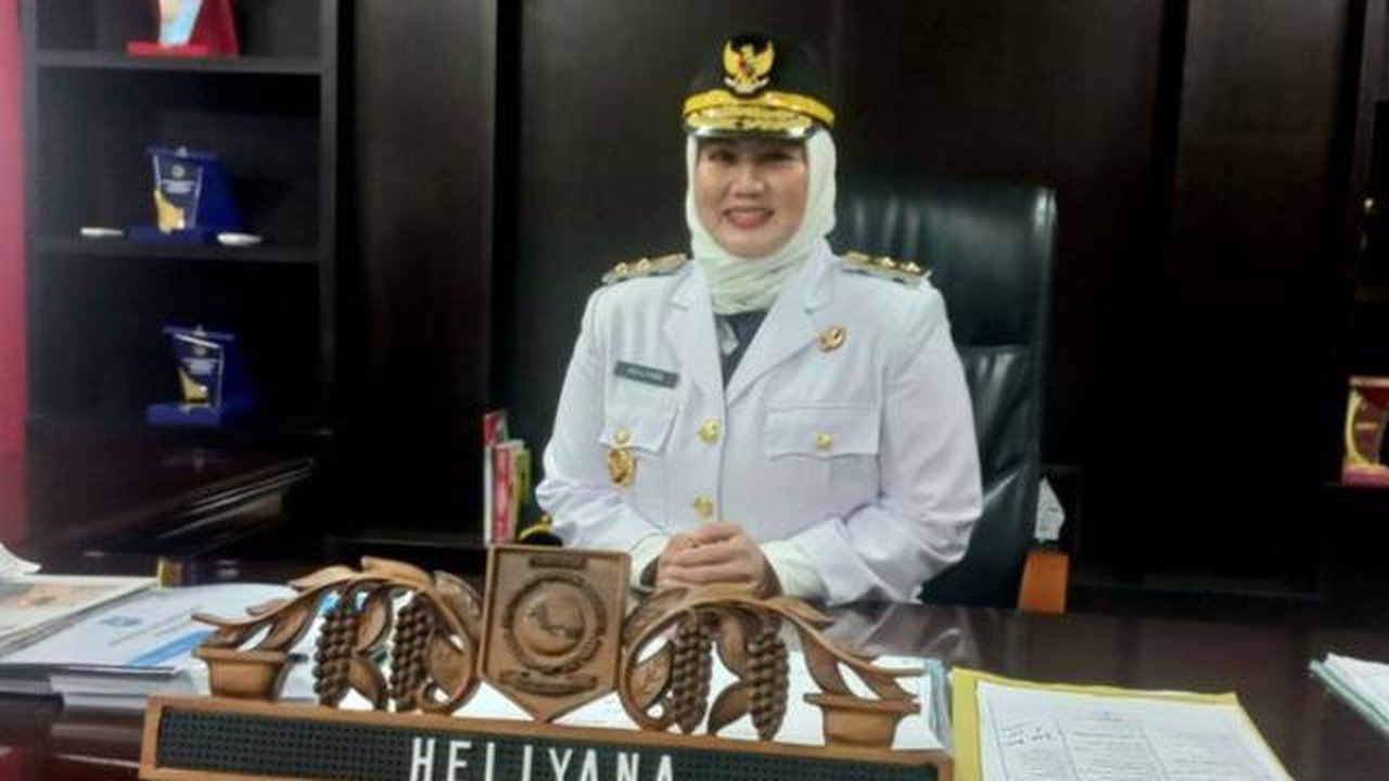 Wakil Gubernur (Wagub) Kepulauan Bangka Belitung (Babel) Hellyana. (Liputan6.com/ Dok Ist)