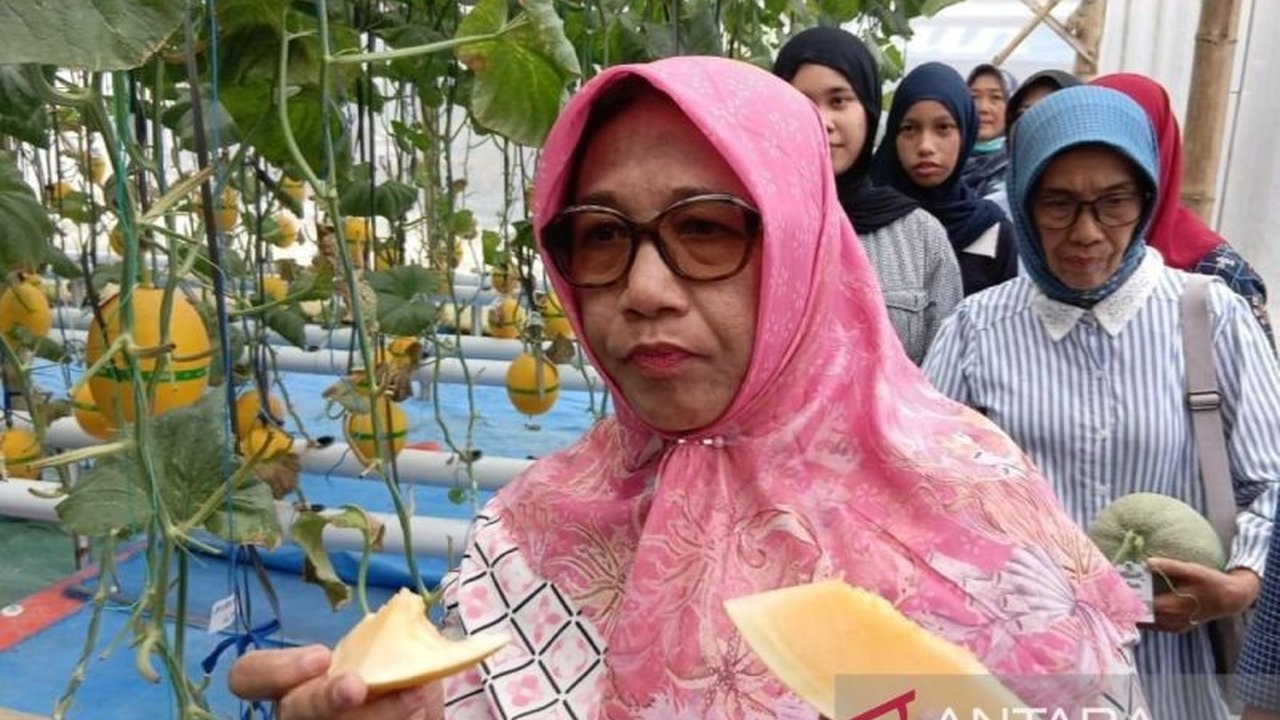 Pemerintah Kabupaten Blora berkomitmen mendukung petani melon hidroponik lokal agar dapat memasok kebutuhan Satuan Pelayanan Pemenuhan Gizi (SPPG), sekaligus memperkuat Program Makan Bergizi Gratis.