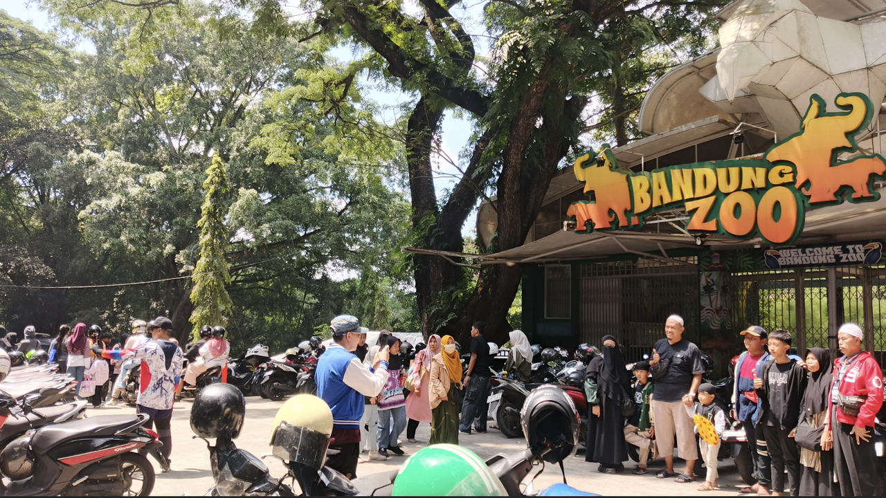 Bandung Zoo Dibuka Terbatas Saat Libur Nataru, Tiket Gratis Diganti Donasi Seikhlasnya