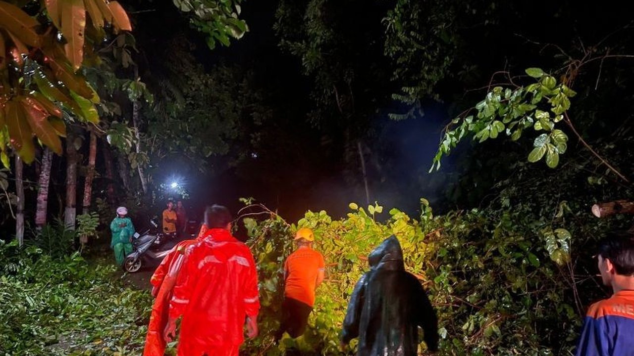 Badan Penanggulangan Bencana Daerah (BPBD) Pacitan bergerak cepat menangani puluhan pohon tumbang di berbagai titik, termasuk Jalan Raya Ponorogo–Pacitan, akibat cuaca ekstrem. Penanganan Pohon Tumbang Pacitan ini memastikan akses kembali normal.
