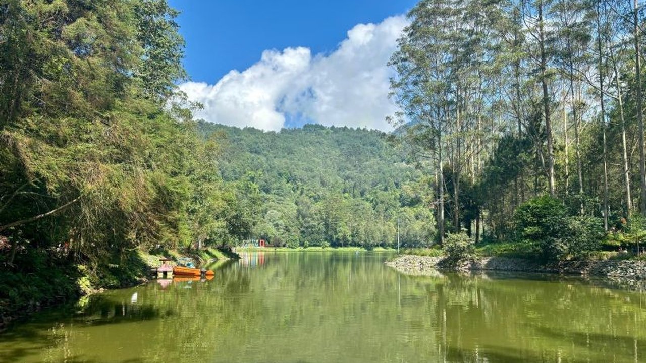 Kementerian Kehutanan menegaskan Status Gunung Wayang di Kabupaten Bandung tetap sebagai hutan lindung yang dikelola melalui program perhutanan sosial, bukan perubahan izin baru, untuk menjaga kelestarian lingkungan.