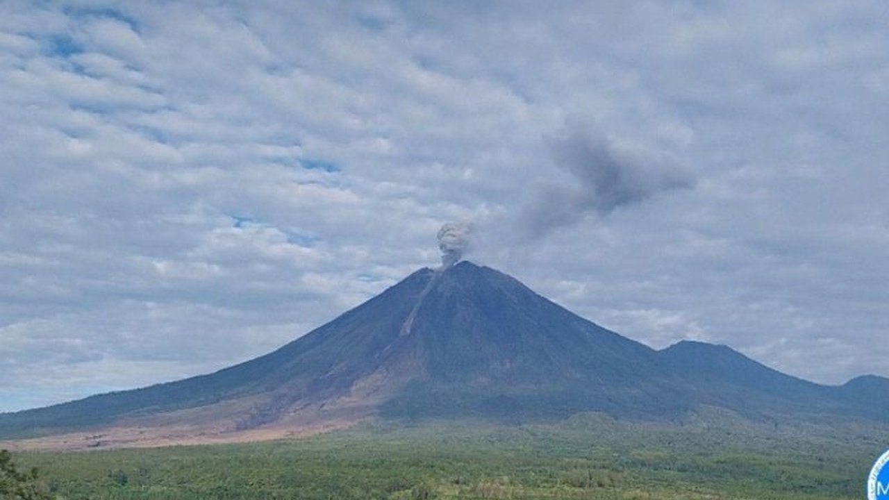 Gunung Semeru erupsi sebanyak empat kali pada Sabtu, 3 Januari 2026, dengan ketinggian letusan mencapai 1 kilometer, memicu status siaga dan peringatan PVMBG.