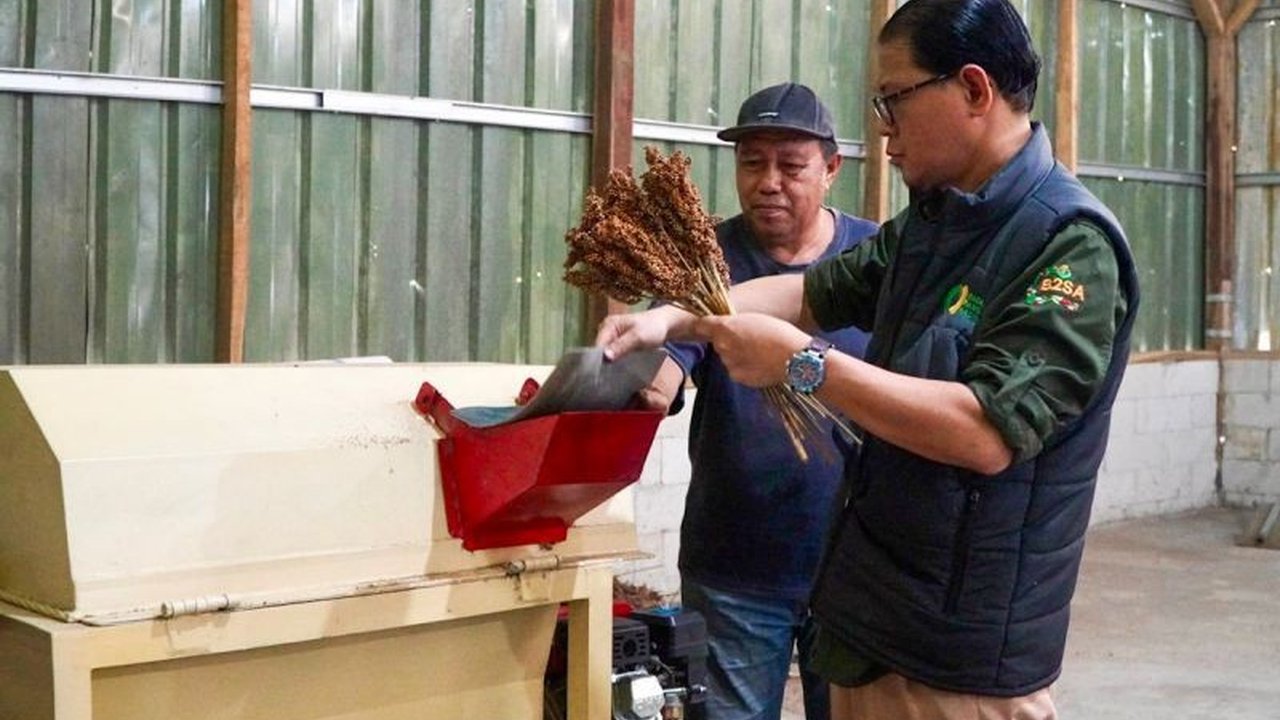 Badan Pangan Nasional (Bapanas) memperkuat pengembangan sorgum di Karawang dan Bandung, memanfaatkan teknologi pengolahan untuk meningkatkan nilai ekonomi serta ketahanan pangan lokal.