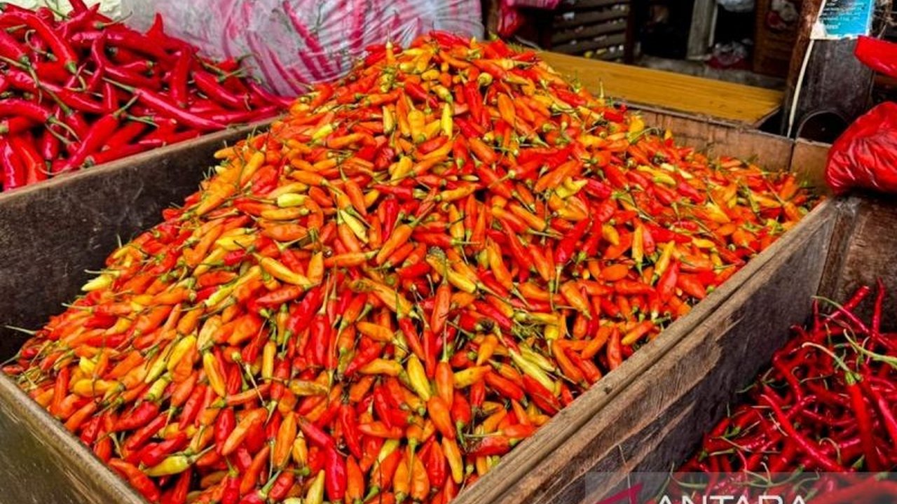 Badan Pangan Nasional (Bapanas) melaporkan fluktuasi harga pangan nasional, dengan cabai rawit dan bawang merah mengalami penurunan, sementara beberapa komoditas lain menunjukkan pergerakan berbeda.