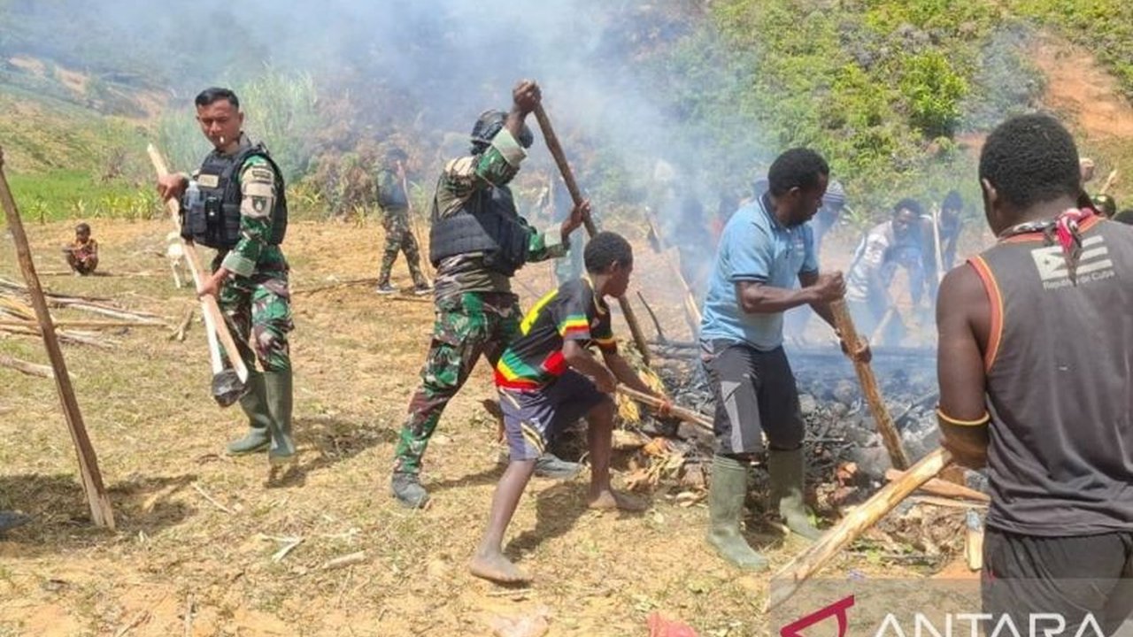 Prajurit Satgas Yonif 511/DY menunjukkan kepedulian dengan membantu warga Kampung Oka, Lanny Jaya, menyelenggarakan acara adat bakar batu yang meriah dan penuh kebersamaan.