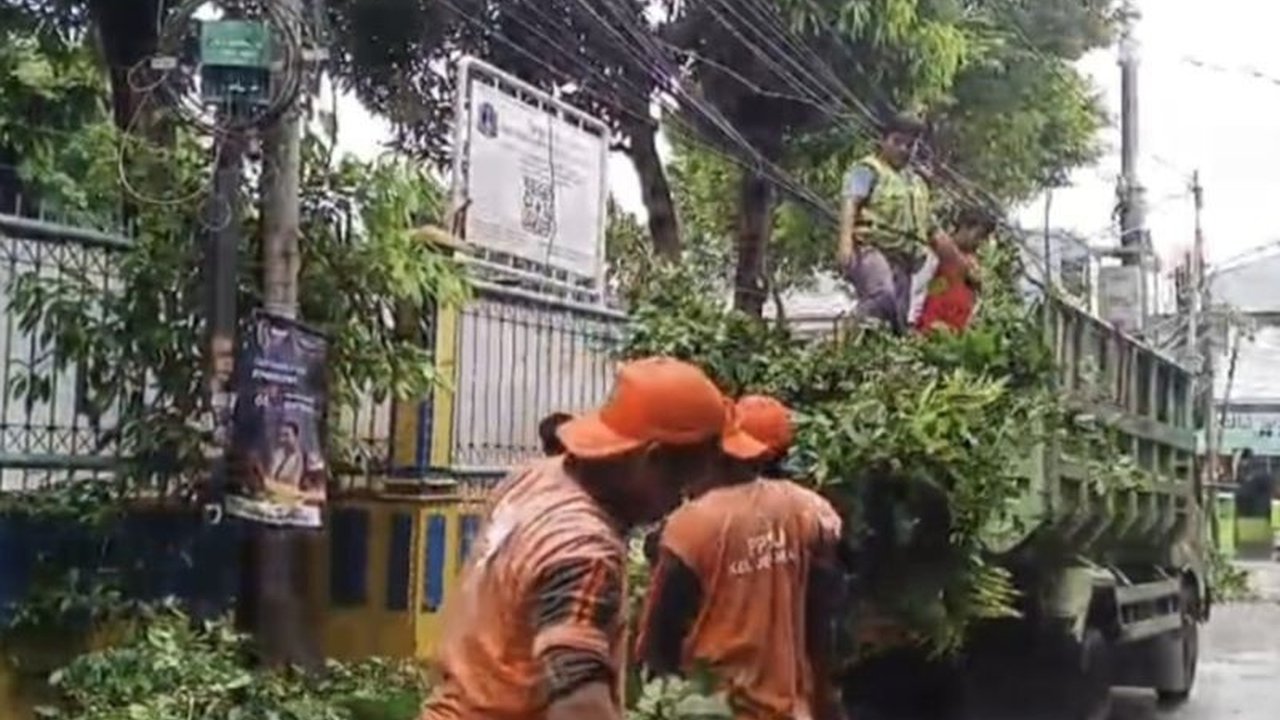 Suku Dinas Pertamanan dan Hutan Kota (Sudin Tamhut) Jakarta Barat melakukan pemangkasan pohon nangka di Grogol Petamburan untuk mencegah risiko korsleting listrik dan pohon tumbang, menindaklanjuti laporan warga.