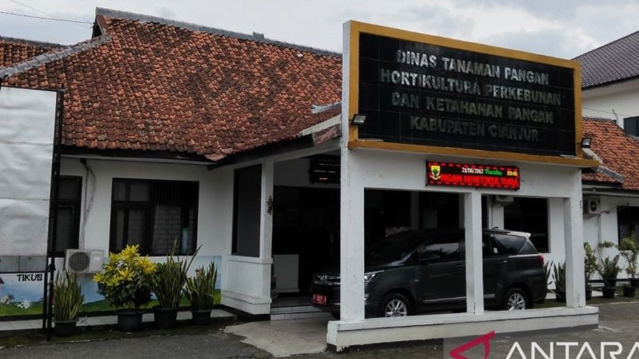 Dinas Tanaman Pangan Hortikultura Perkebunan dan Ketahanan Pangan (DTPHPKP) Cianjur menargetkan produksi gabah kering giling (GKG) sebesar 630 ribu ton pada 2026, memicu optimisme ketahanan pangan daerah.