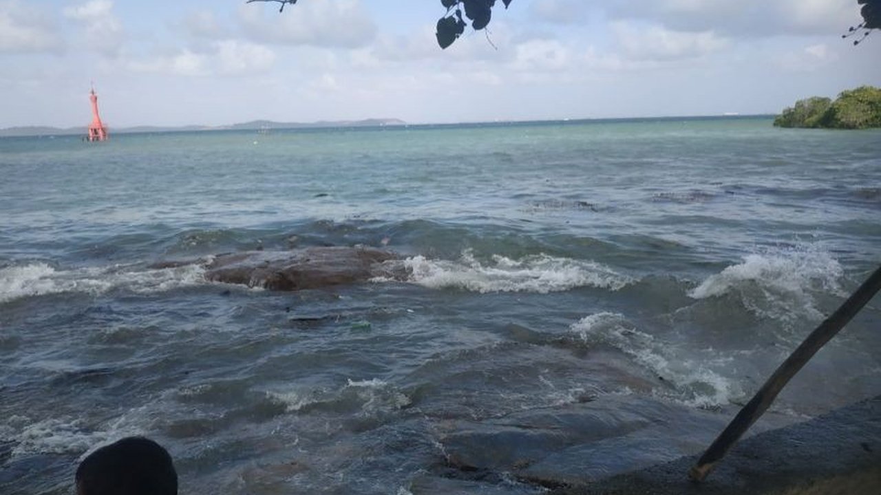 Perairan Teluk Sasah Bintan tercemar tumpahan minyak sejak awal Januari, mengganggu aktivitas ekonomi warga pesisir dan memicu kekhawatiran serius.