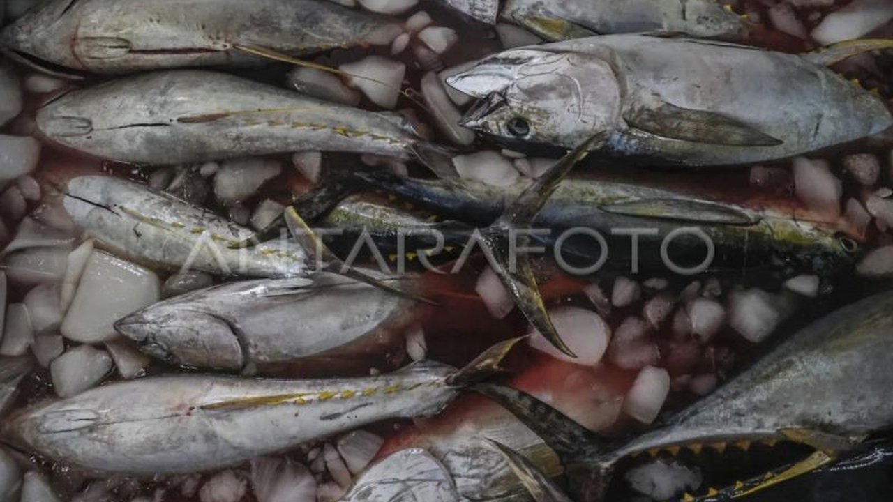 Kementerian Kelautan dan Perikanan (KKP) memastikan produk perikanan Indonesia dapat bersaing di pasar global melalui penerbitan Sertifikat Mutu dan Keamanan Hasil Perikanan (SMKHP). Simak bagaimana SMKHP membuka jalan ekspor ikan RI.