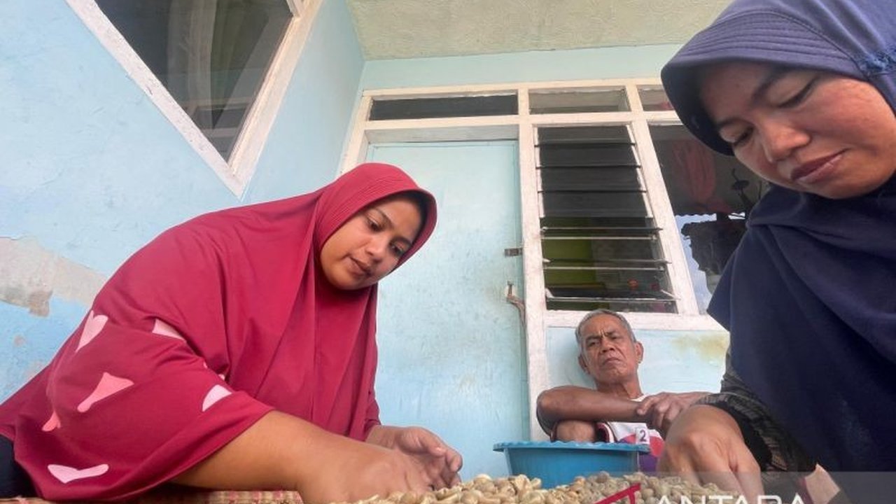 Pemerintah Kabupaten Kuningan mencatat total produksi kopi Kuningan mencapai 1.236 ton pada tahun 2025, dengan kopi robusta menjadi penyumbang terbesar dan menunjukkan peningkatan signifikan dibanding tahun sebelumnya.