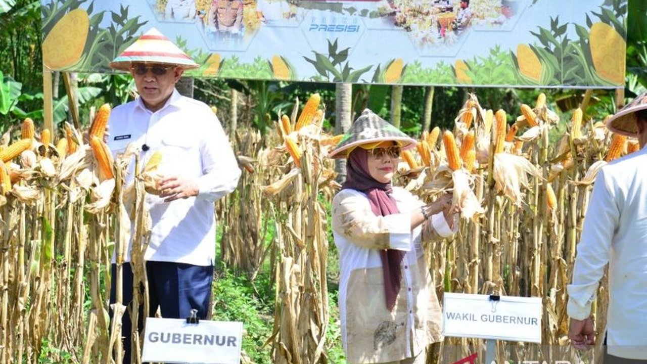 Gubernur Gorontalo Gusnar Ismail menargetkan produksi jagung Gorontalo mencapai 1,5 juta ton pada 2026, didukung sinergi kuat antara pemerintah provinsi dan Polri demi swasembada pangan nasional.