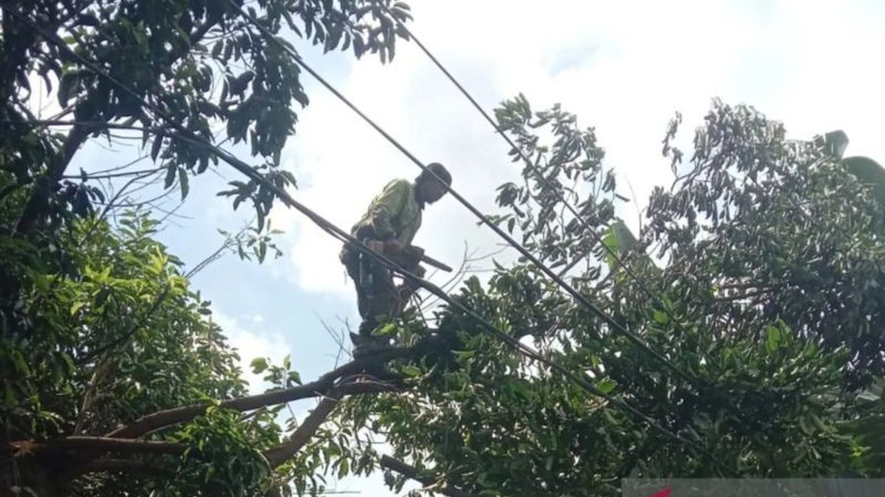 Suku Dinas Pertamanan dan Hutan Kota (Sudin Tamhut) Jakarta Timur menyiapkan langkah strategis untuk Pencegahan Pohon Tumbang Jakarta Timur pada 2026, melanjutkan upaya masif tahun sebelumnya demi keselamatan warga dari cuaca ekstrem.