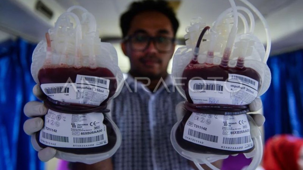PMI Tangerang berhasil mengumpulkan 75 ribu kantong darah sepanjang 2025, melampaui target berkat partisipasi masyarakat dan program jemput bola. Pencapaian ini menunjukkan komitmen kemanusiaan yang kuat.