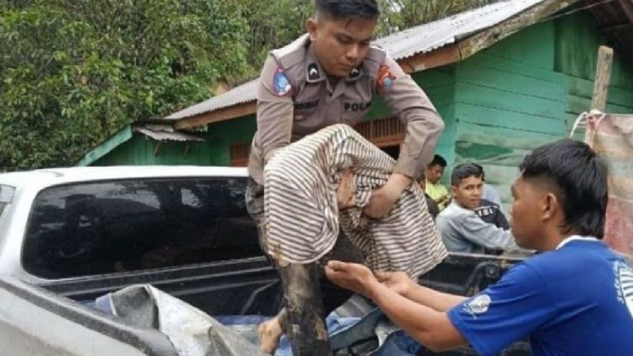 Jumlah korban meninggal dunia akibat bencana alam di Sumatera Utara terus bertambah. Pusdalops PB Sumut mencatat total 374 jiwa melayang, tersebar di 12 kabupaten/kota terdampak bencana.