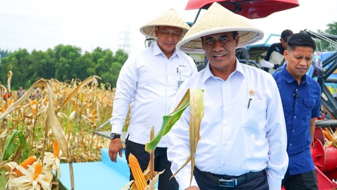 Indonesia siap menjadi pengekspor jagung! Pemerintah mendorong Perum Bulog untuk segera melakukan ekspor jagung menyusul surplus produksi nasional yang signifikan, demi menyejahterakan petani dan menguatkan ekonomi bangsa.