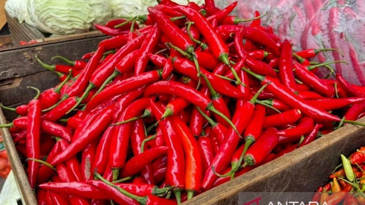 Pusat Informasi Harga Pangan Strategis (PIHPS) Nasional merilis data terkini harga pangan di tingkat eceran, menunjukkan cabai rawit merah dan telur ayam ras menjadi sorotan utama dalam daftar Harga Pangan Nasional.
