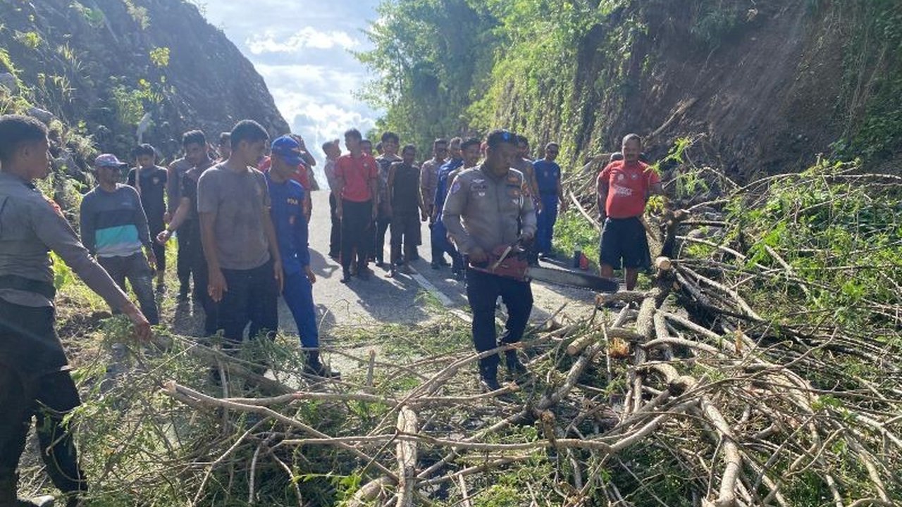 Jembatan Bobisingo ambruk di Halmahera Utara akibat banjir bandang, memutuskan akses vital Galela-Loloda. Simak upaya penanganan dan dampaknya bagi warga.
