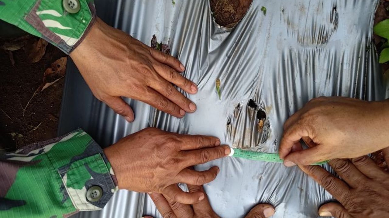 Warga Lampung Timur sempat resah dengan penemuan jejak satwa liar yang diduga harimau. Namun, BKSDA Lampung memastikan jejak tersebut bukan milik harimau sumatera, melainkan satwa lain, setelah melakukan analisis mendalam.