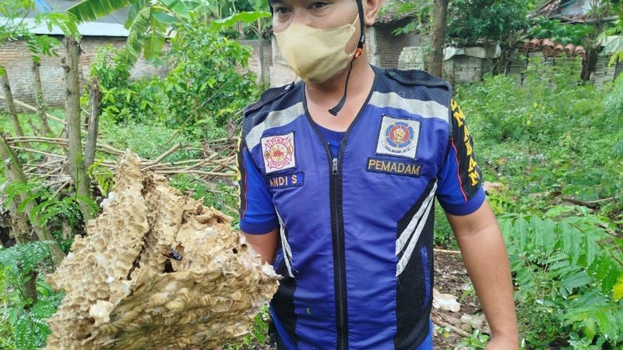 Satpol PP dan Damkar Ponorogo mencatat 539 aksi penyelamatan non-kebakaran sepanjang 2025, menunjukkan peran petugas yang melampaui pemadaman api dan beragam laporan masyarakat yang membutuhkan bantuan darurat.