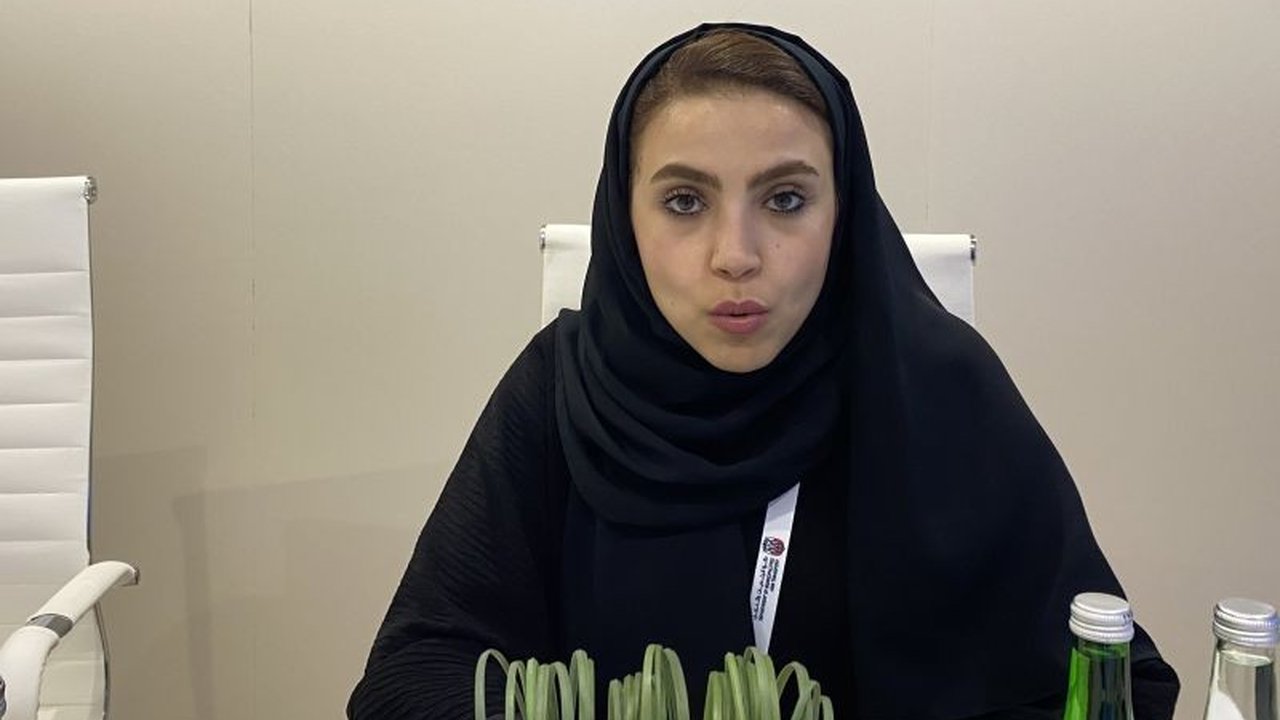 Masdar, perusahaan energi terbarukan Uni Emirat Arab, berharap ekspansi PLTS Cirata dapat mencapai kemajuan konkret tahun ini, melanjutkan kemitraan strategis dengan PT PLN (Persero). Pembaca diajak memahami potensi besar energi bersih di Indonesia.