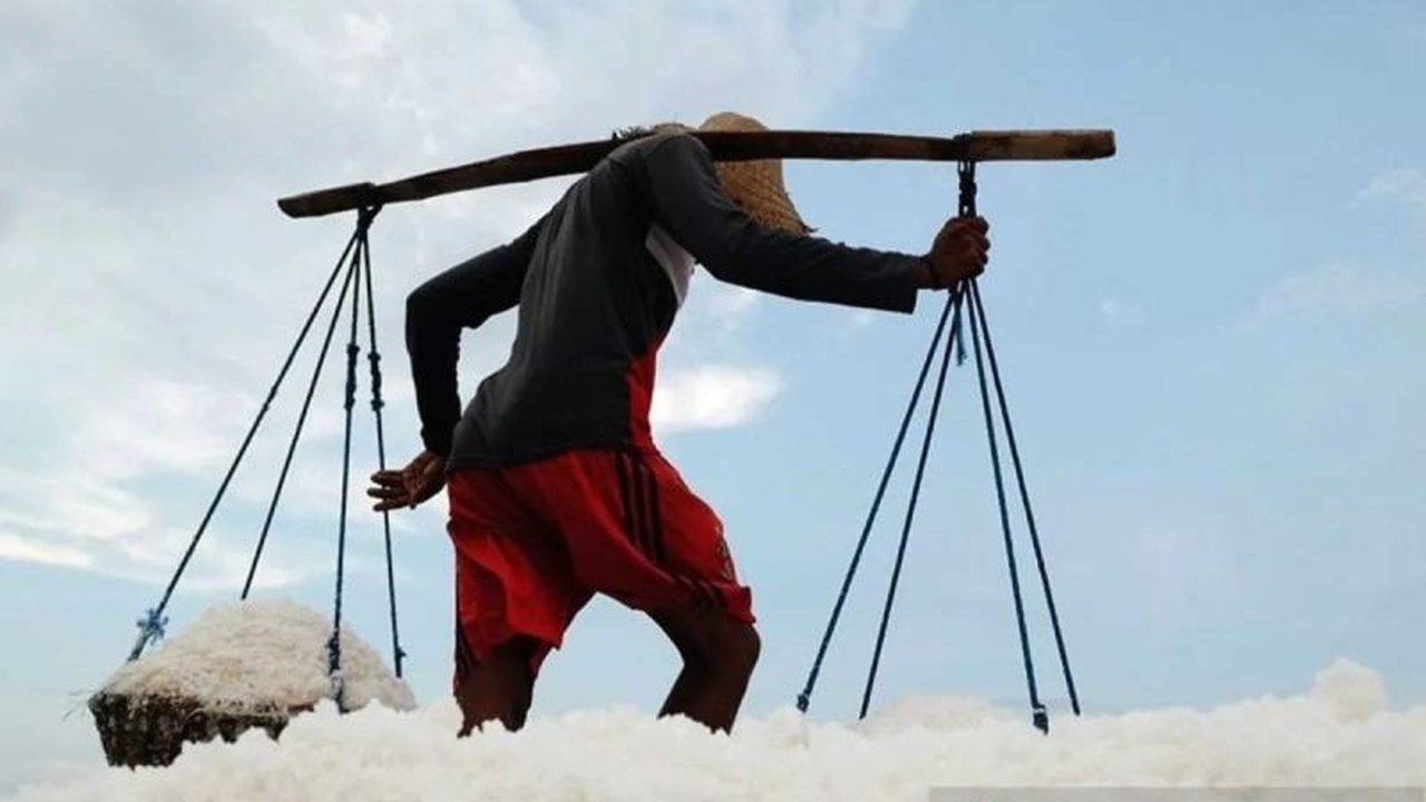 Dinas Perikanan Kabupaten Malang berupaya keras mengusulkan hilirisasi garam di Pantai Modangan kepada pemerintah pusat, sebuah langkah strategis untuk meningkatkan nilai jual dan kesejahteraan petani garam di wilayah tersebut.