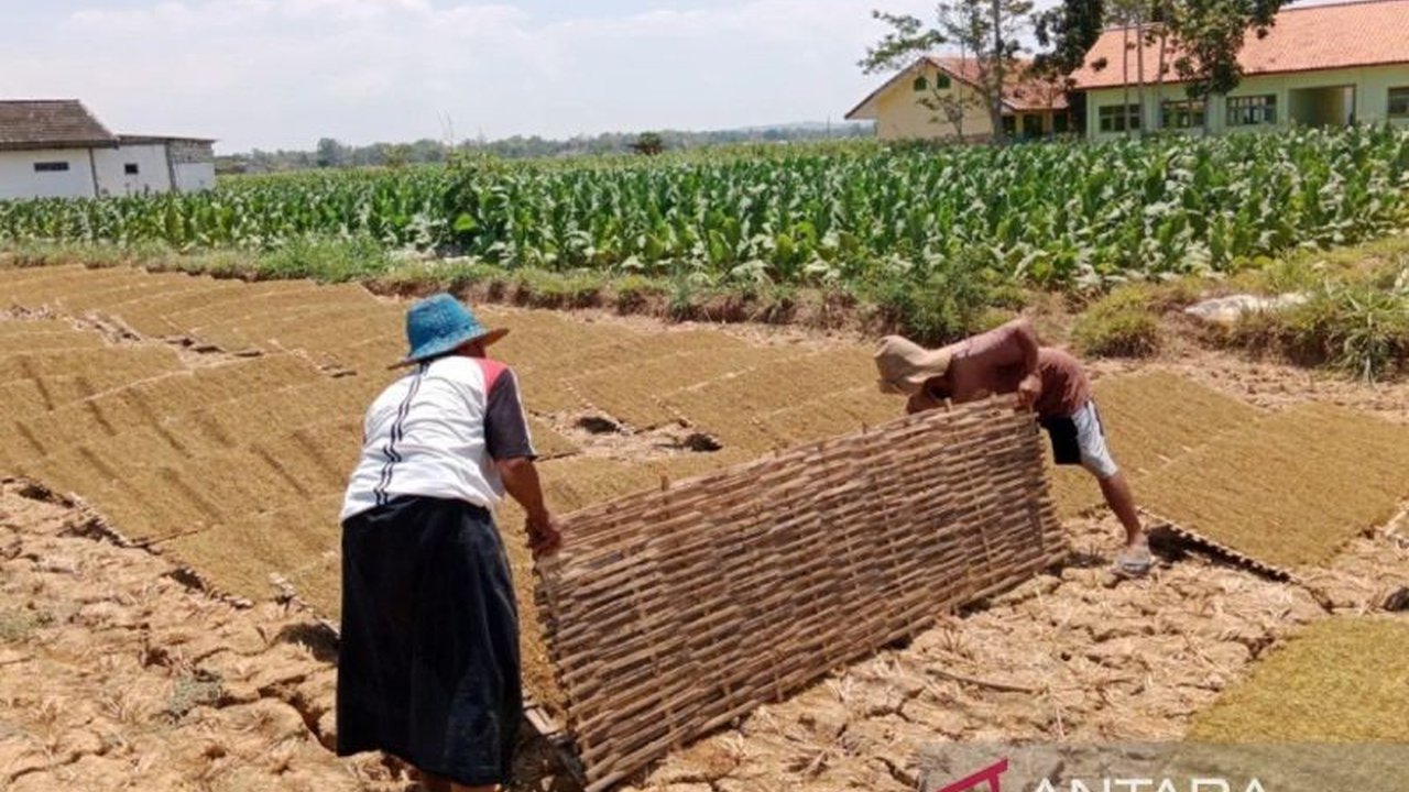 Pemerintah Kabupaten Pamekasan memberikan perlindungan Jamsostek kepada 1.724 pekerja rentan. Namun, program perlindungan Jamsostek pekerja rentan Pamekasan ini masih terkendala keterbatasan anggaran daerah.