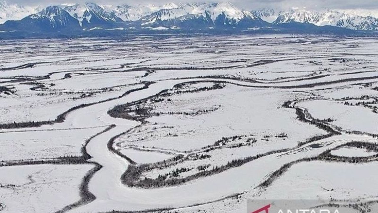 Warga Greenland bersatu dalam aksi Protes Greenland Tolak Klaim AS terhadap pulau mereka, menegaskan hak penentuan nasib sendiri di Nuuk dan Kopenhagen.