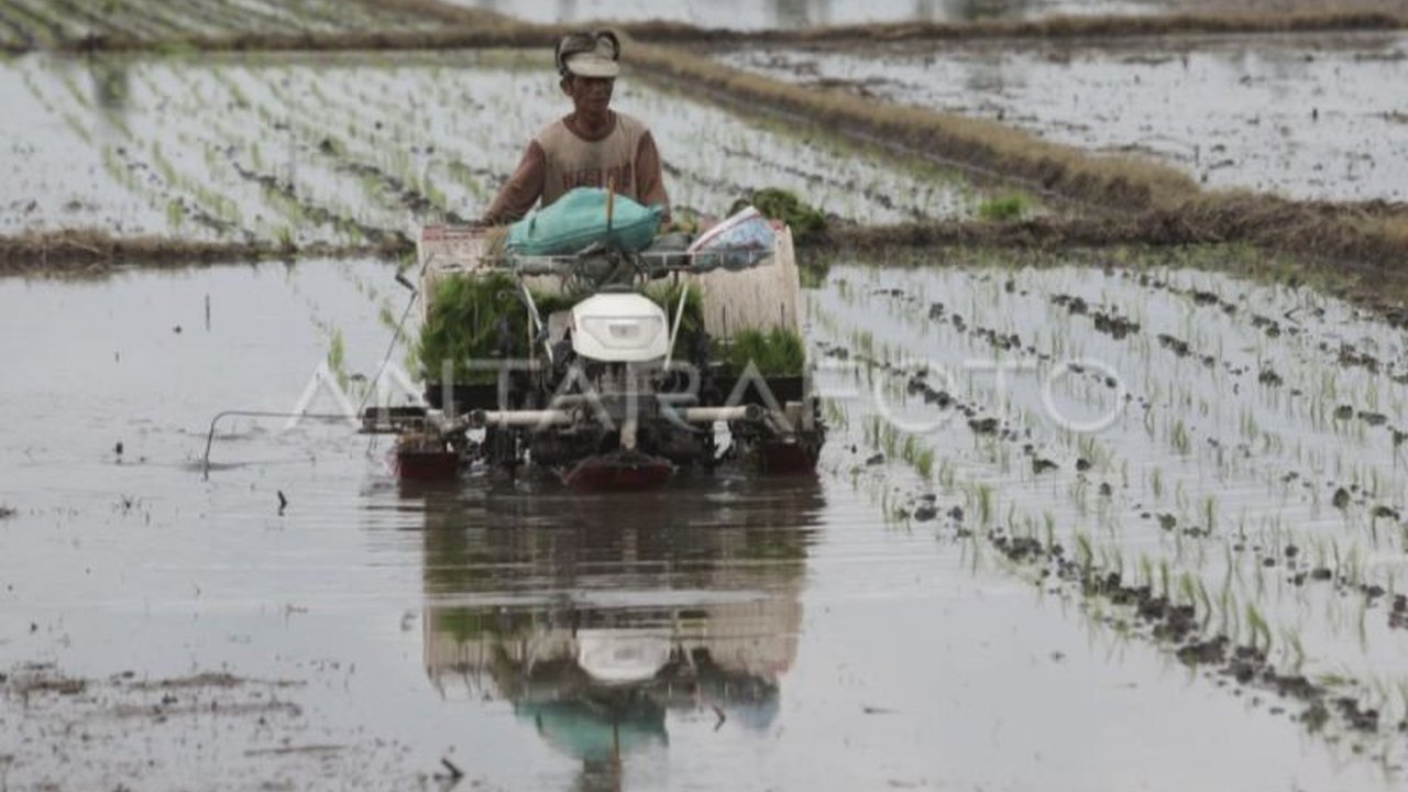 Pemerintah Kabupaten Kotawaringin Timur (Kotim) menyatakan optimistis menuntaskan 733 hektare proyek cetak sawah dengan menggandeng Kodim 1015/Sampit, menargetkan penyelesaian dalam tiga bulan ke depan.
