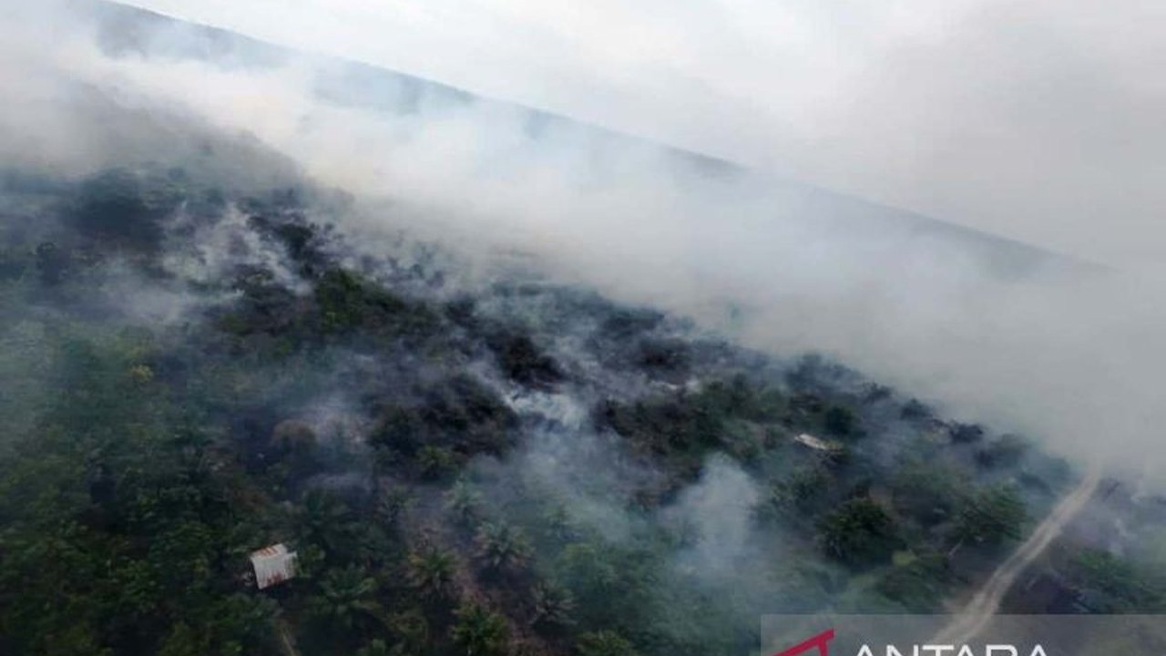 BPBD Aceh Barat mengerahkan 16 personel untuk memadamkan Kebakaran Lahan Aceh Barat di Desa Lapang, Kecamatan Johan Pahlawan. Kepulan asap mengganggu warga, upaya pemadaman terus dilakukan di tengah tantangan.