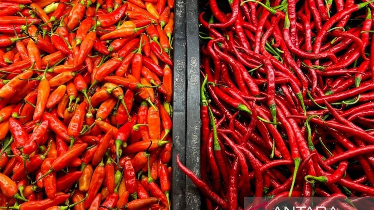 Pusat Informasi Harga Pangan Strategis (PIHPS) Nasional merilis data terbaru harga pangan nasional per 16 Januari, menunjukkan cabai rawit merah dan telur ayam ras di level tinggi.