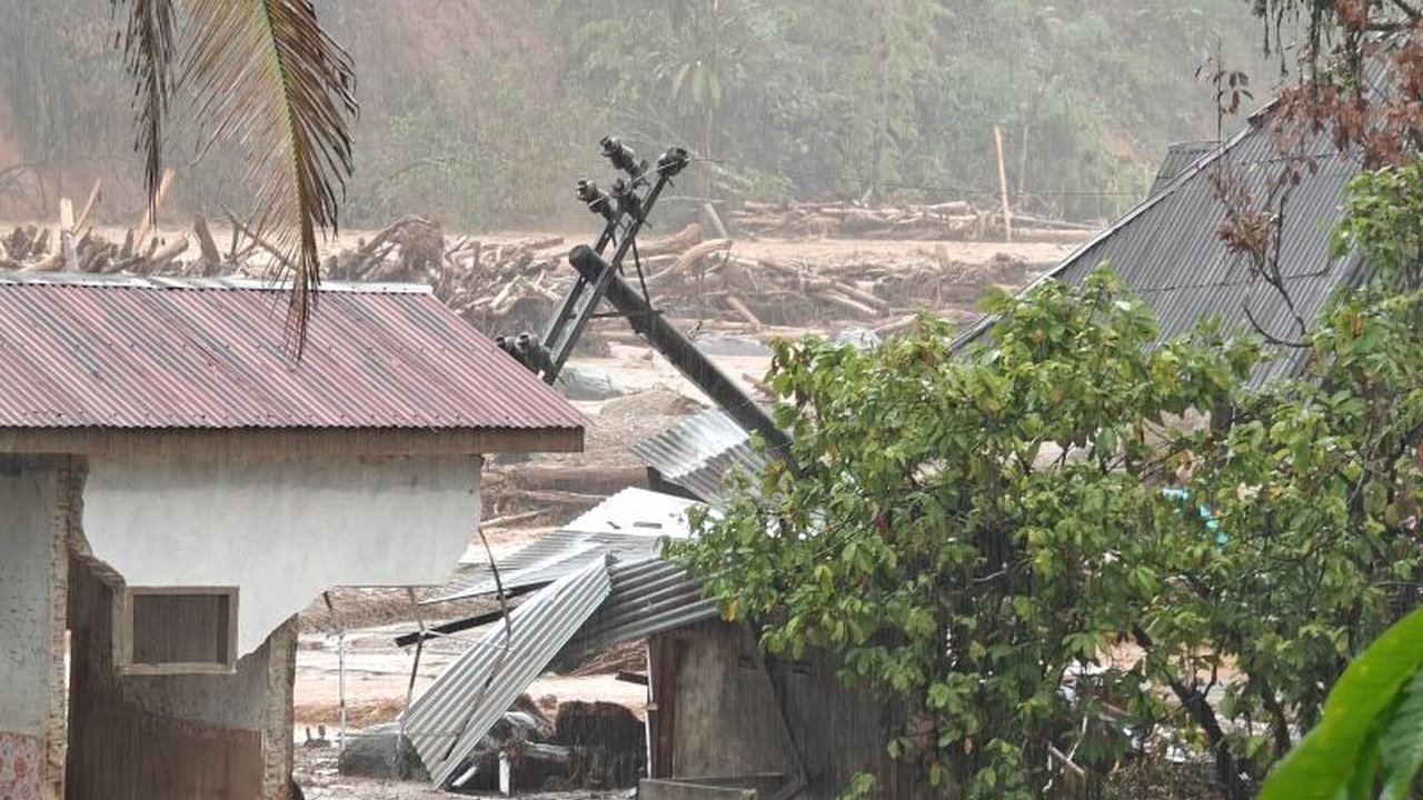 Pemerintah Indonesia, melalui Kementerian Lingkungan Hidup, mengajukan gugatan perdata senilai Rp4,8 triliun terhadap enam perusahaan. Gugatan lingkungan perusahaan ini menuntut pertanggungjawaban penuh atas kerusakan lingkungan di Sumatera Utara dan rest