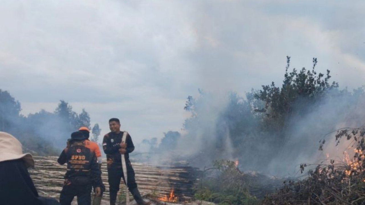 Meskipun sebagian besar wilayah Indonesia memasuki musim hujan, Badan Nasional Penanggulangan Bencana (BNPB) melaporkan Karhutla Musim Hujan masih terjadi di Aceh, Riau, dan Kalimantan Tengah, mengimbau masyarakat untuk tetap waspada terhadap potensi keba