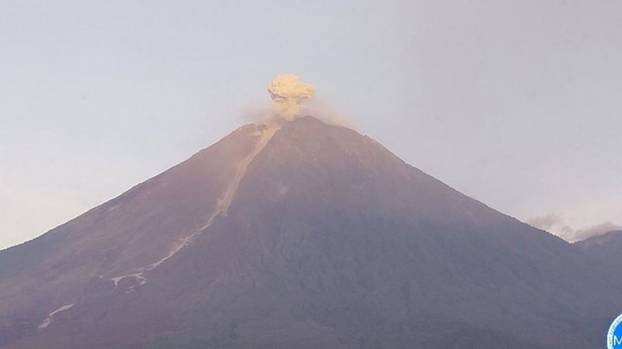 Gunung Semeru mencatat 23 kali gempa letusan dalam enam jam pada Sabtu, 17 Januari, memicu status Siaga Level III. Warga diimbau waspada potensi bahaya Gempa Letusan Gunung Semeru.