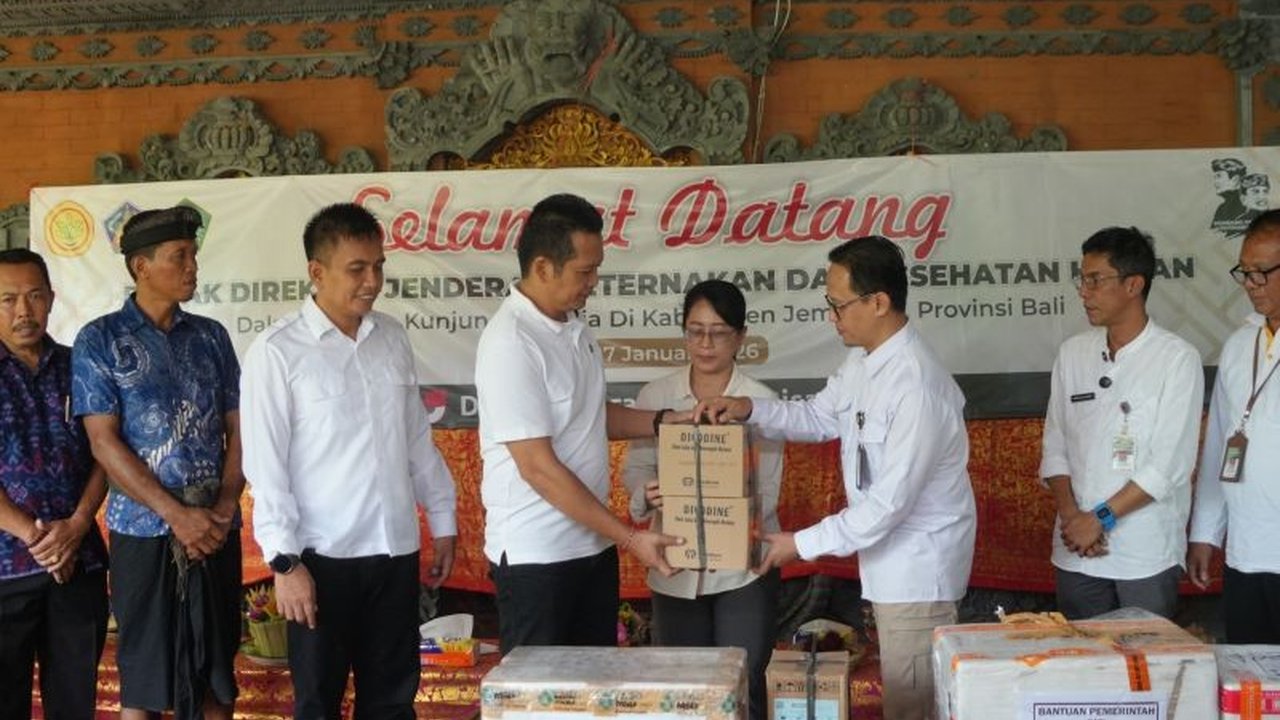 Pemerintah pusat melalui Kementerian Pertanian menyalurkan bantuan obat LSD sapi ke Jembrana, Bali, untuk mempercepat penanganan dan pencegahan penyakit menular ini demi menjaga keberlanjutan ekonomi peternak di wilayah tersebut.