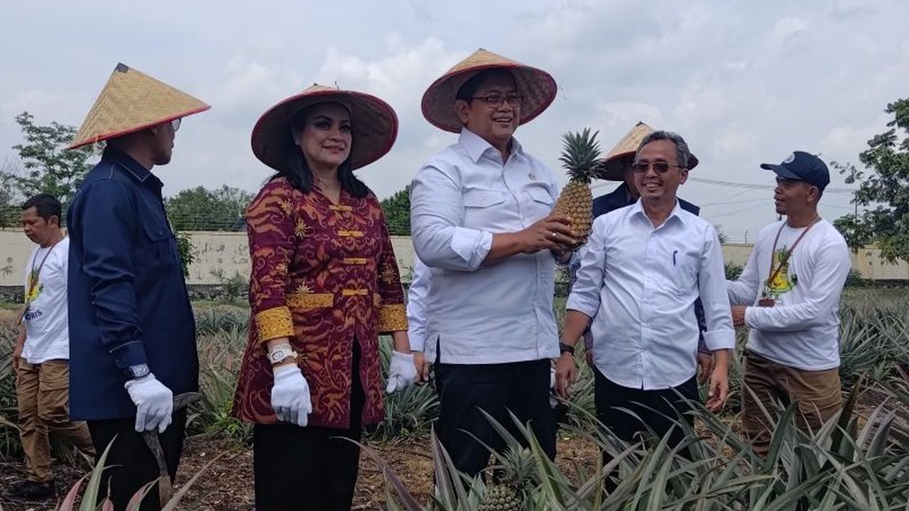 Wakil Menteri Transmigrasi (Wamentrans) Viva Yoga Mauladi menyoroti potensi besar nanas moris sebagai komoditas unggulan yang dapat mendorong pertumbuhan ekonomi di kawasan transmigrasi.